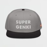 Super Genki Snapback gray/black Cap [Neat Stack Style] front view