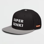Super Genki Snapback black/gray Cap [Neat Stack Style] left side view